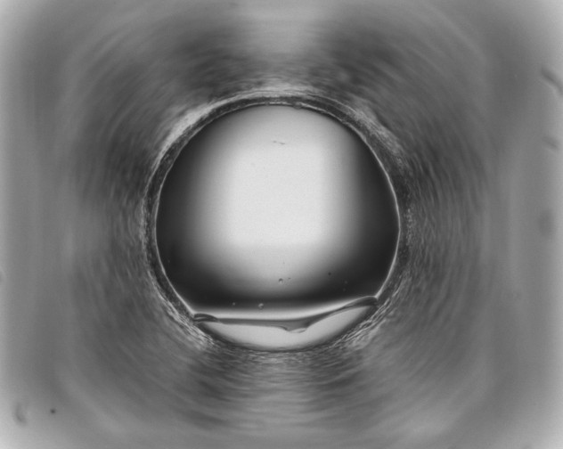 X0000098081412200804181147