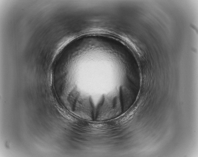 X0000098081413200804181147