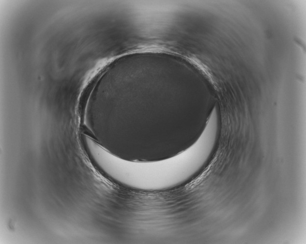 X0000098081414200804181147