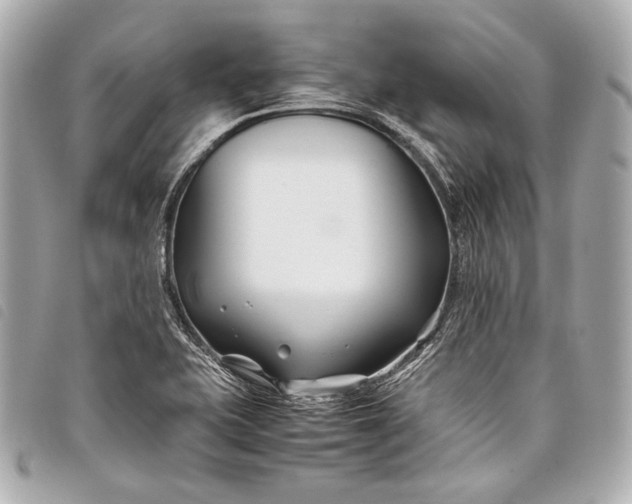 X0000098081415200804181147