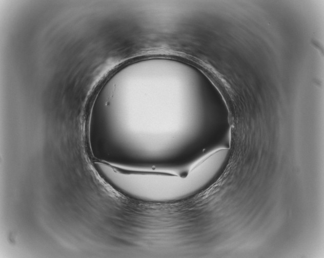 X0000098081416200804181147