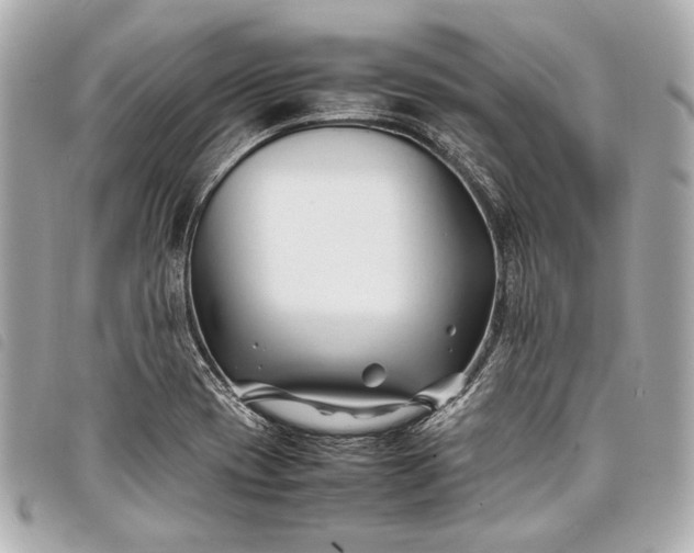 X0000098081417200804181147