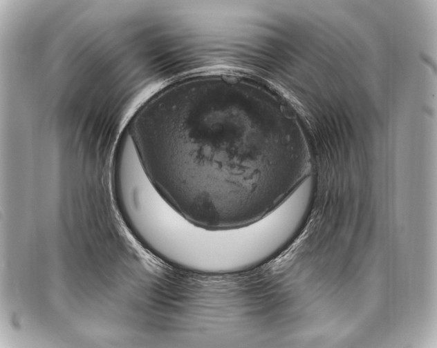 X0000098081418200804181147