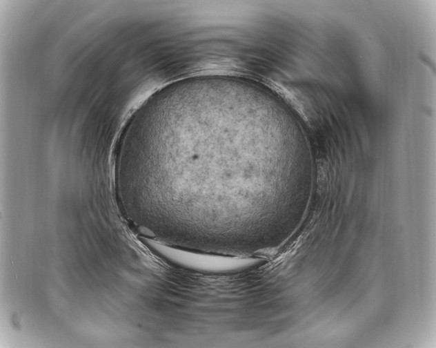 X0000098081419200804181147