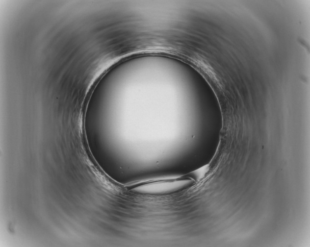 X0000098081420200804181147