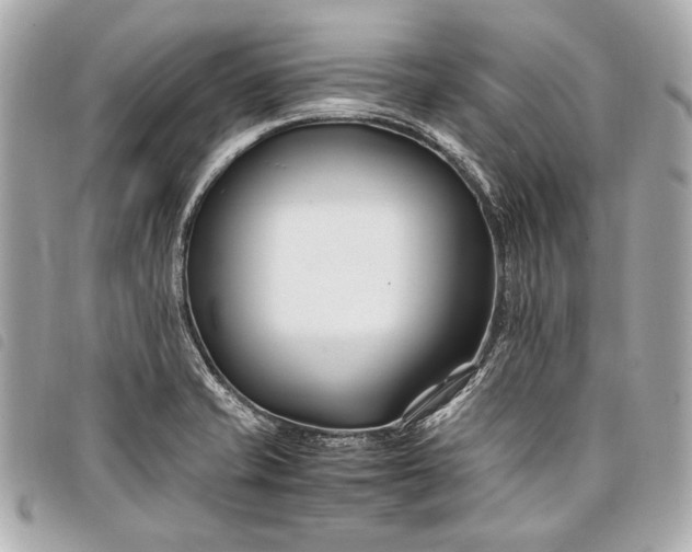 X0000098081421200804181147