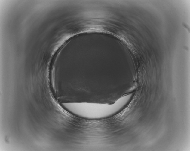 X0000098081422200804181147