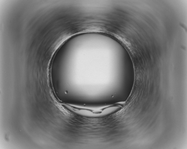 X0000098081423200804181147