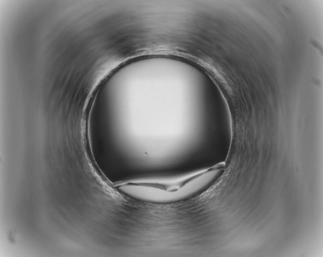 X0000098081424200804181147