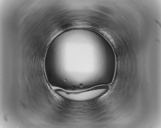 X0000098081425200804181147