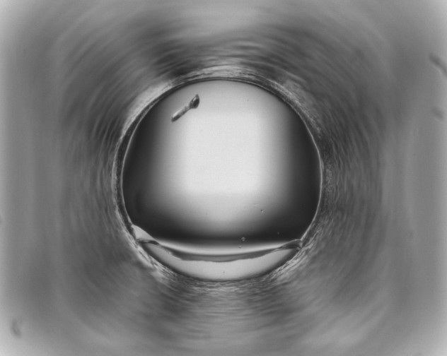 X0000098081426200804181147