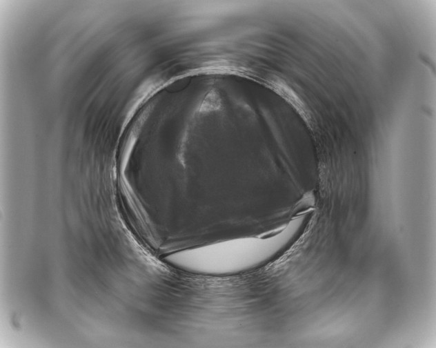 X0000098081428200804181147