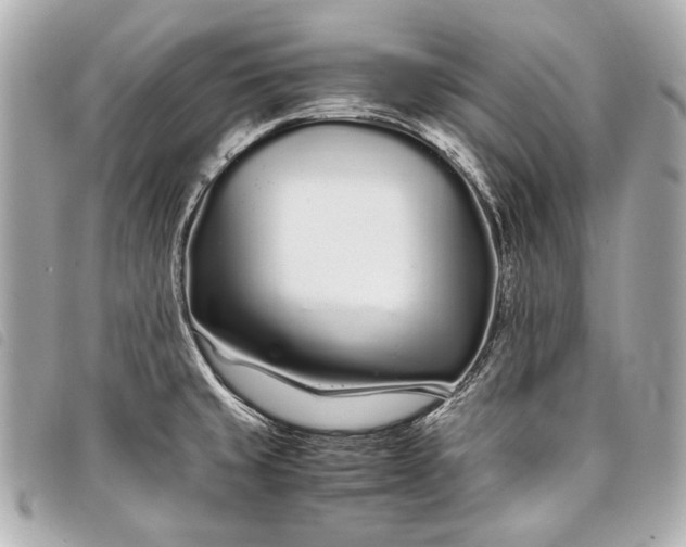 X0000098081429200804181147