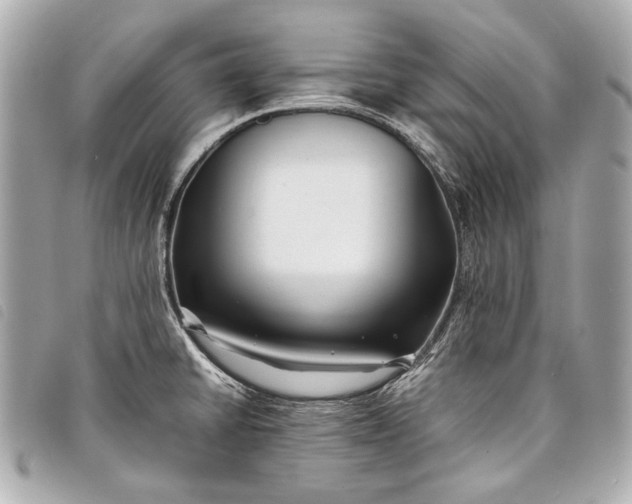 X0000098081430200804181147