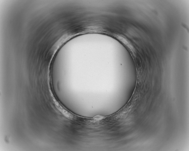 X0000098081431200804181147