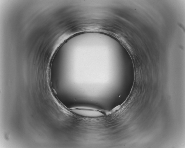 X0000098081432200804181147