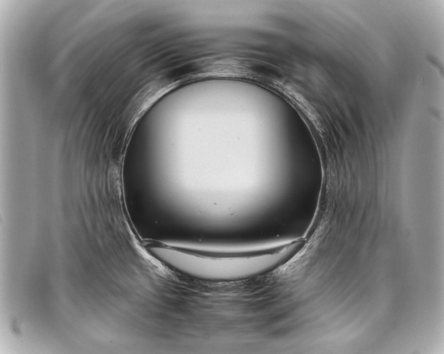 X0000098081433200804181147