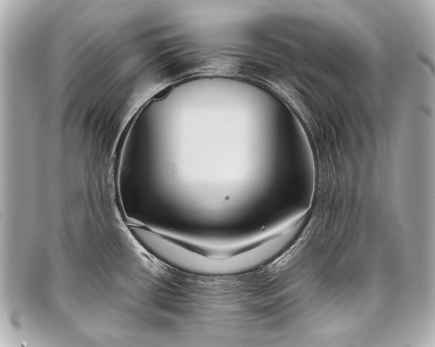 X0000098081434200804181147