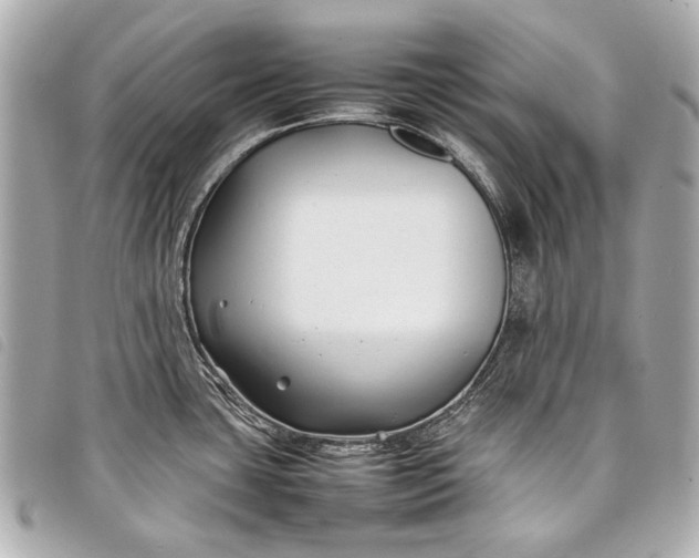 X0000098081435200804181147