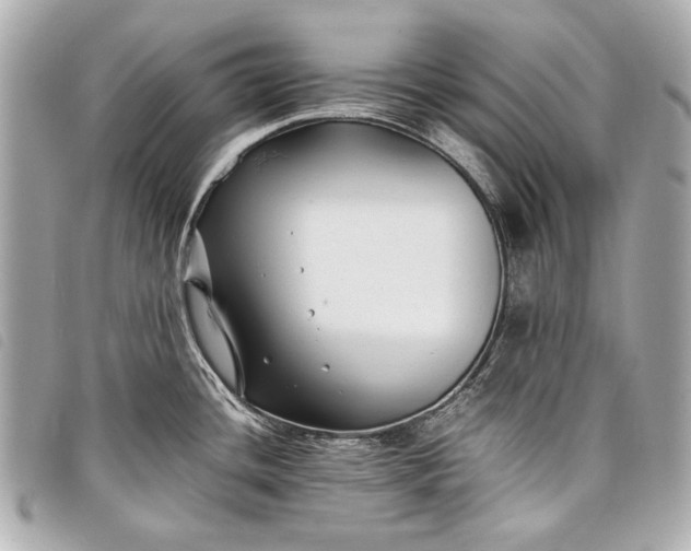 X0000098081436200804181147