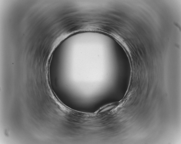 X0000098081437200804181147