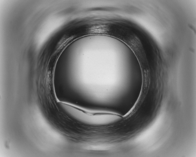 X0000098081438200804181147