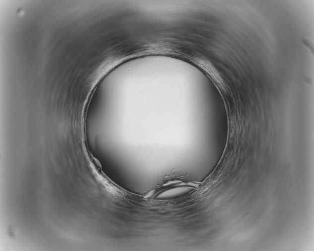 X0000098081439200804181147