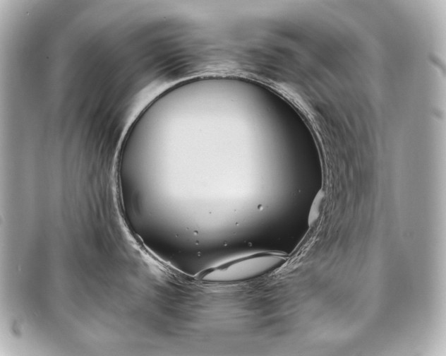 X0000098081440200804181148