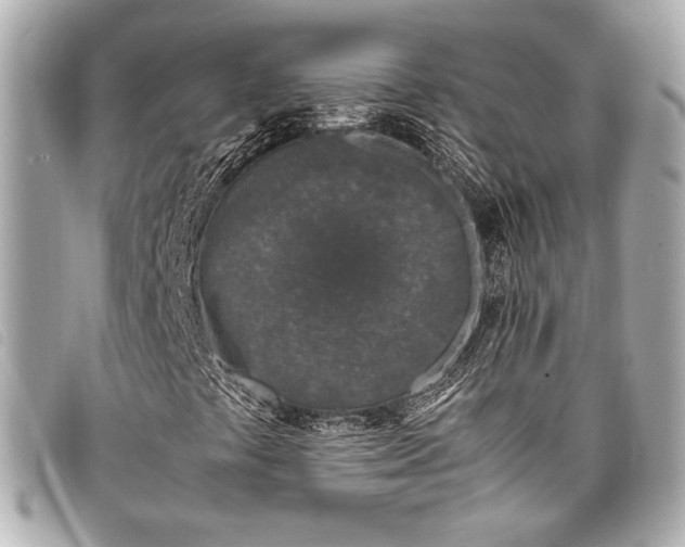 X0000098081441200804181147