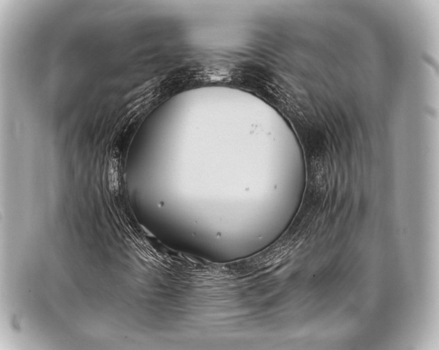 X0000098081442200804181147