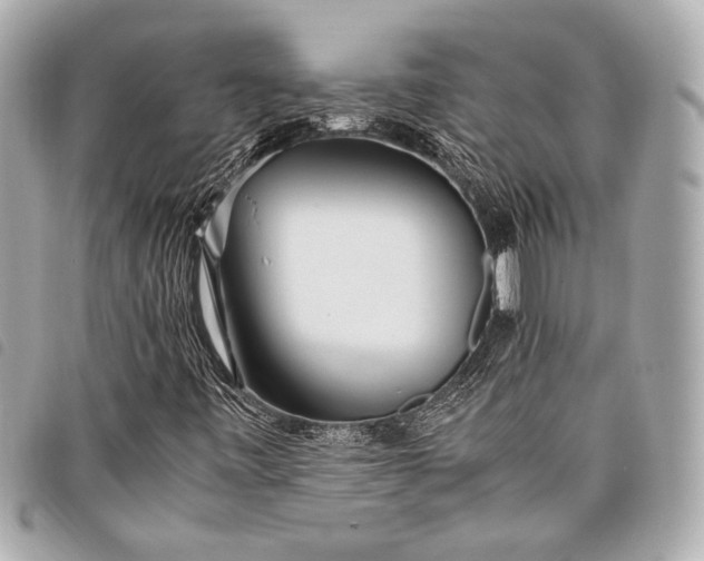 X0000098081443200804181147