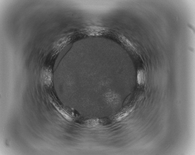 X0000098081444200804181147