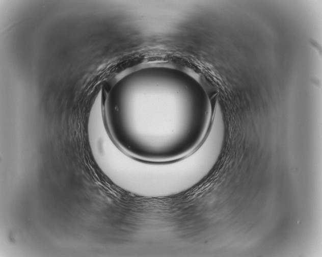 X0000098081445200804181147