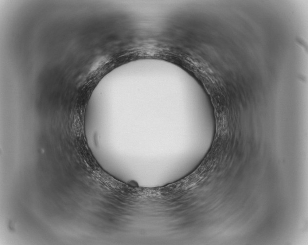 X0000098081446200804181147