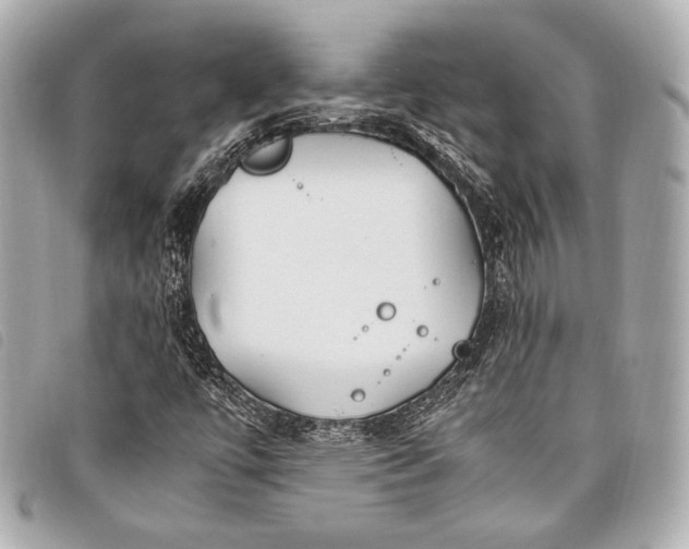 X0000098081447200804181147