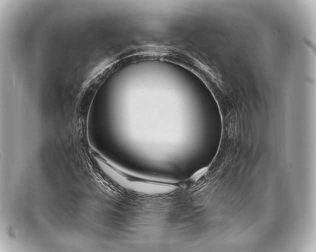 X0000098081448200804181147