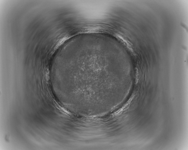 X0000098081449200804181147