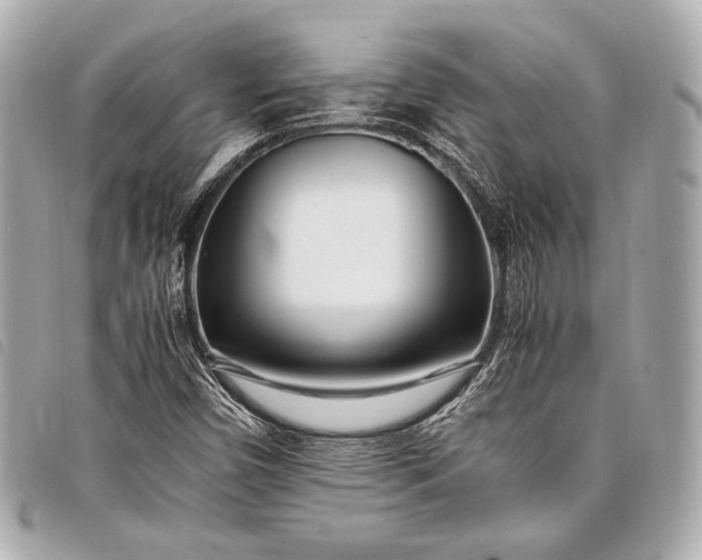 X0000098081450200804181147