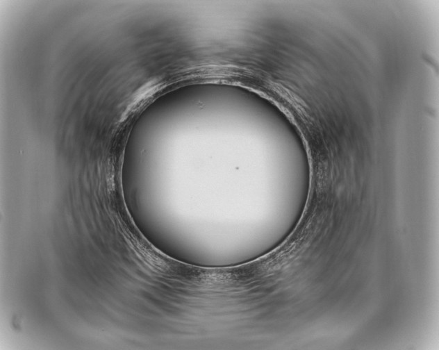 X0000098081451200804181147