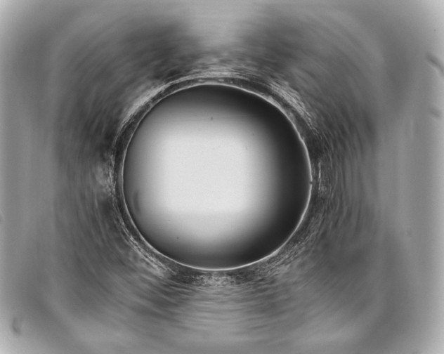 X0000098081452200804181147