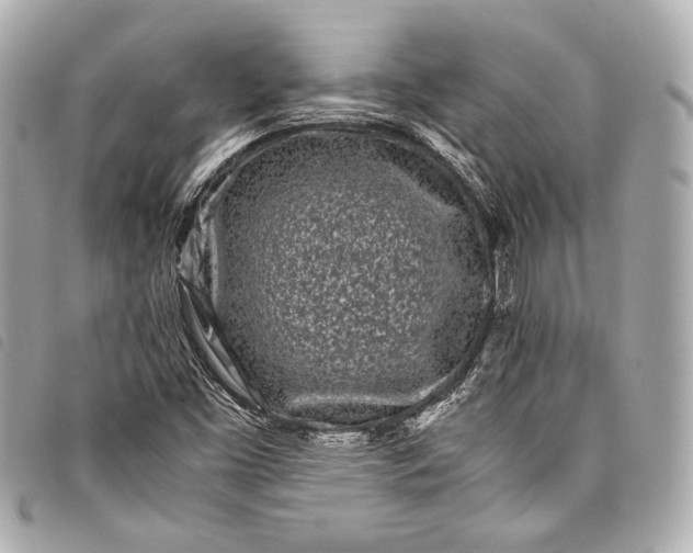 X0000098081453200804181147