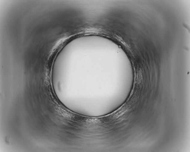 X0000098081454200804181146