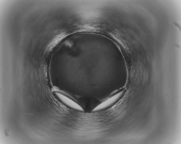 X0000098081455200804181146