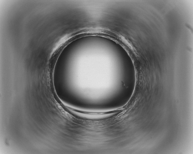 X0000098081456200804181146