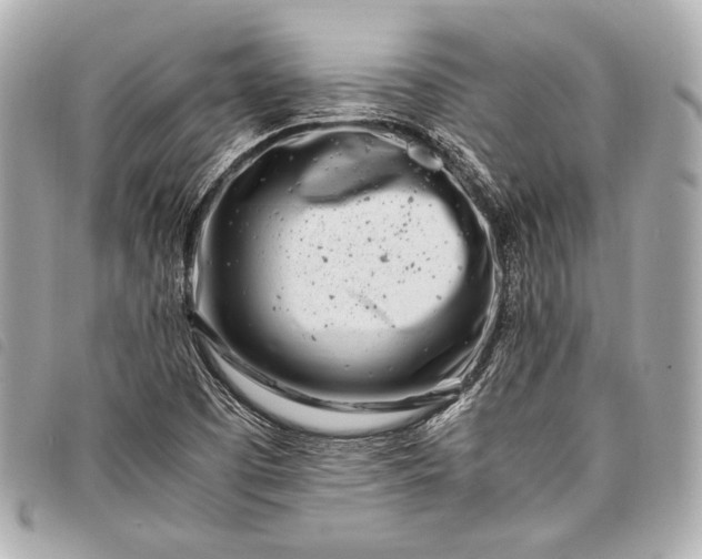 X0000098081457200804181146