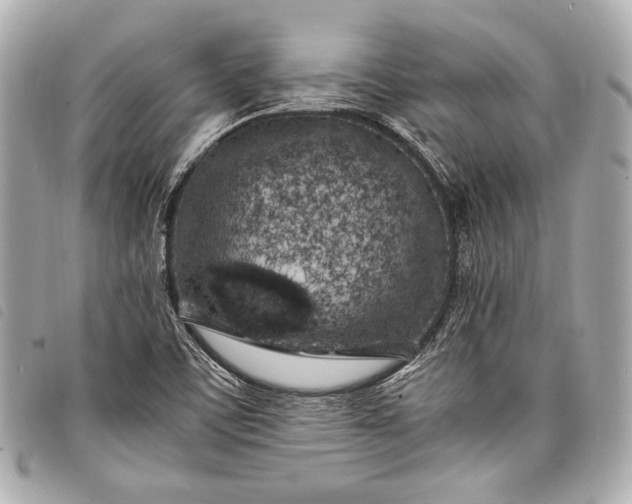 X0000098081459200804181146