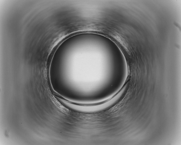 X0000098081460200804181146