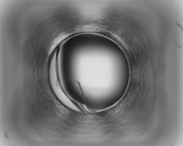 X0000098081461200804181146