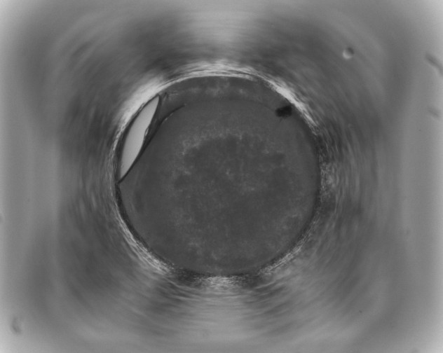 X0000098081463200804181146