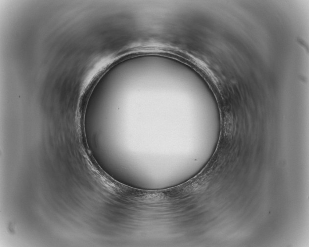 X0000098081464200804181146